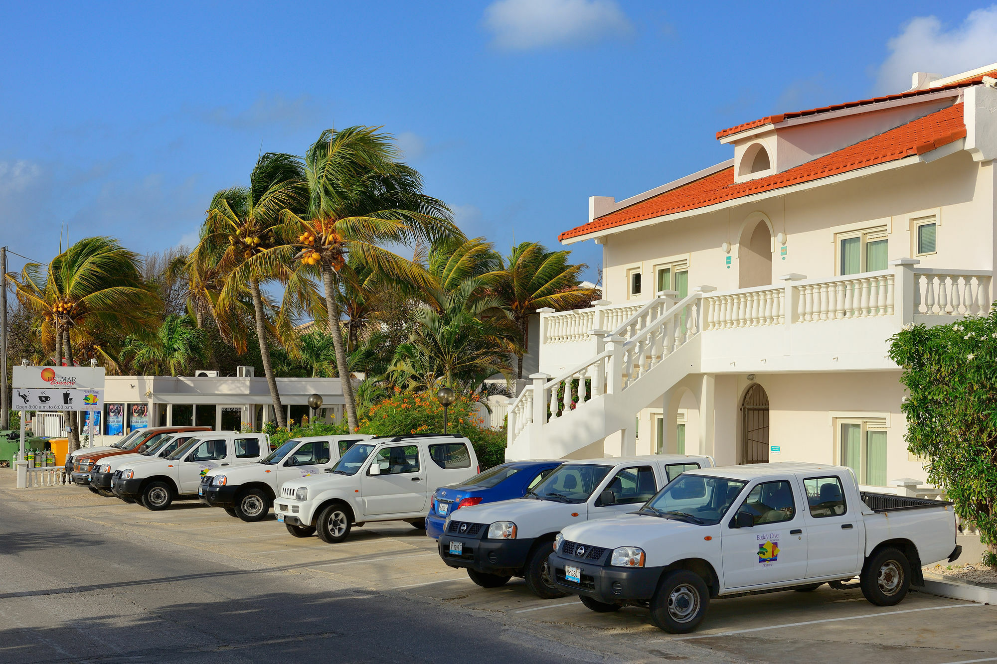 Belmar Oceanfront Apartments Bonaire Exterior foto
