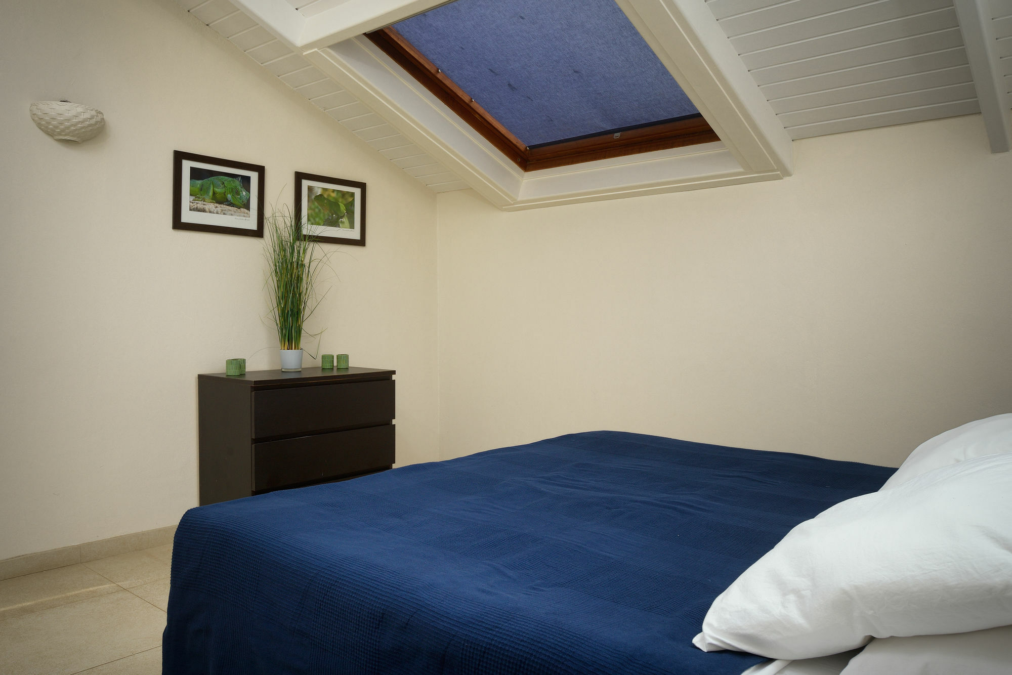 Belmar Oceanfront Apartments Bonaire Exterior foto